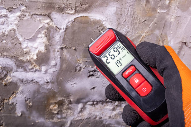 Best Water Damage Restoration  in Leon Valley, TX