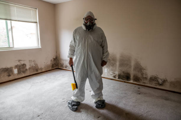 Best Mold Removal Process  in Leon Valley, TX